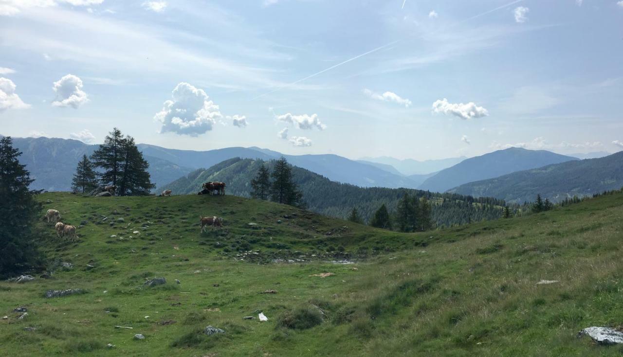 Villa Streintz Millstatt Kültér fotó